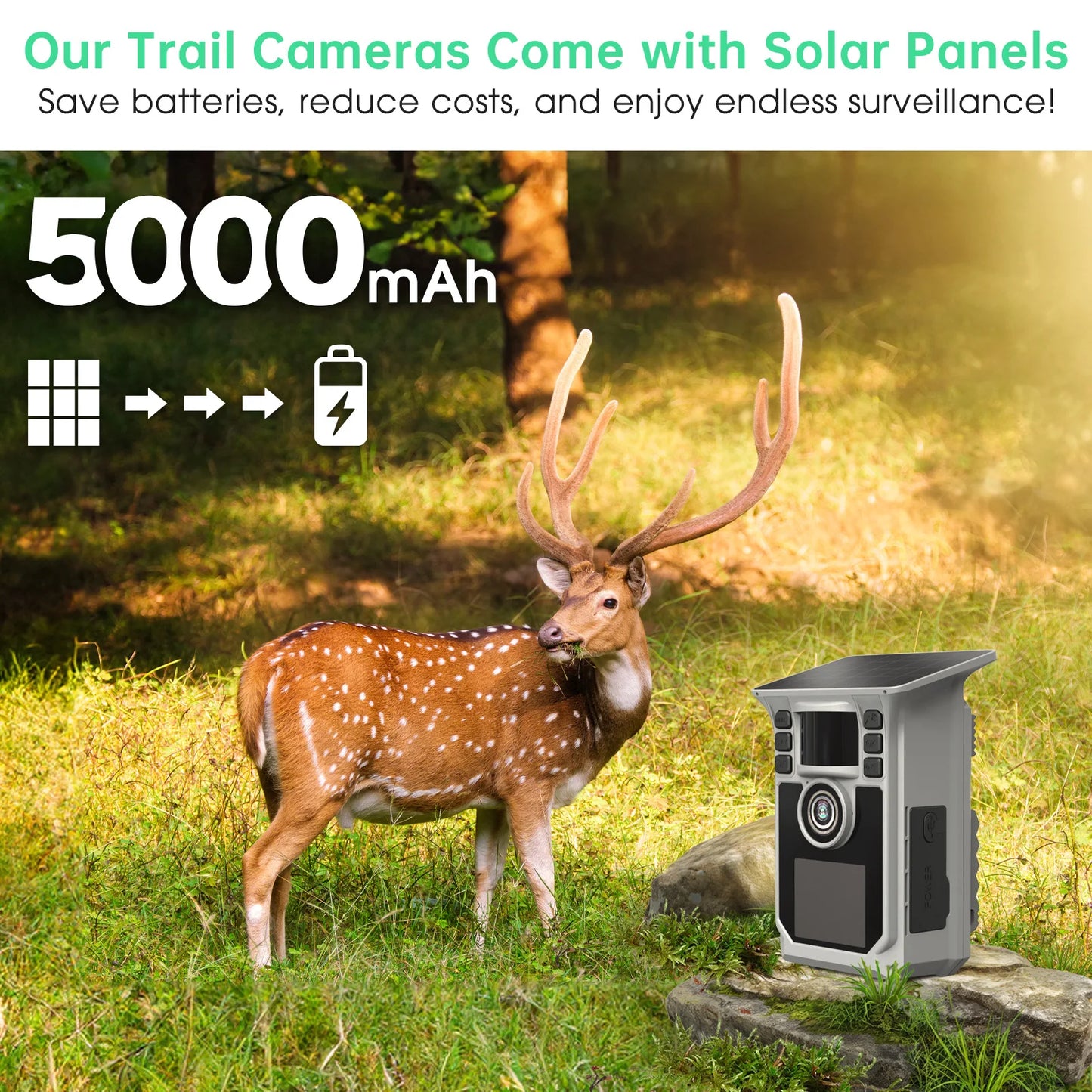 4K Solar Trail Camera 48MP WiFi Night Vision 0.2s Trigger