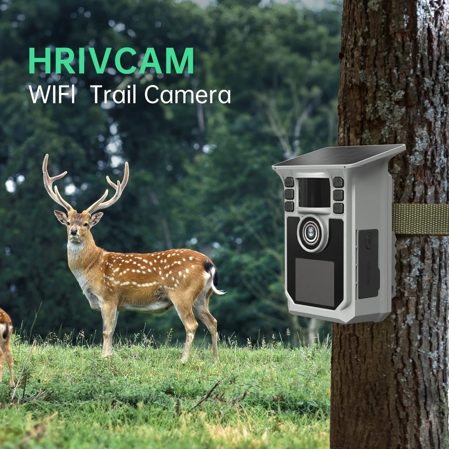 4K Solar Trail Camera 48MP WiFi Night Vision 0.2s Trigger